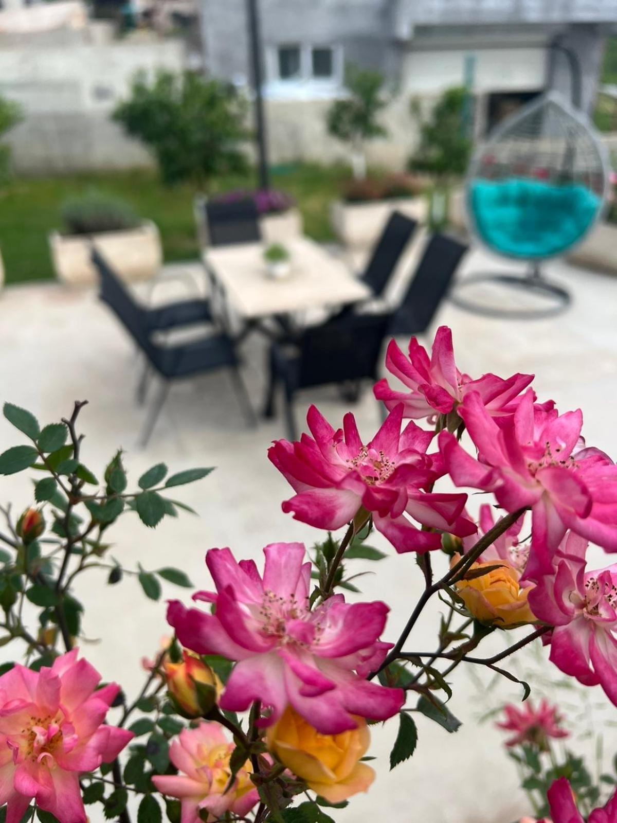 Ferienwohnung Sunny Hill - Parking - Fenced Garden - Luxury Loft Kotor Exterior foto